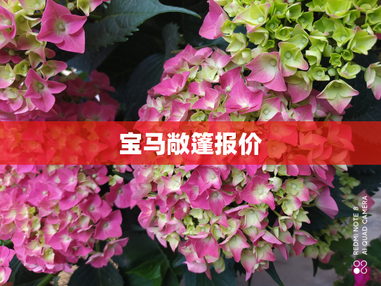 宝马敞篷报价