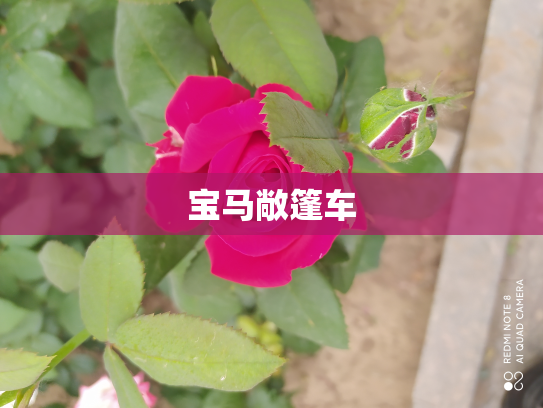 宝马敞篷车
