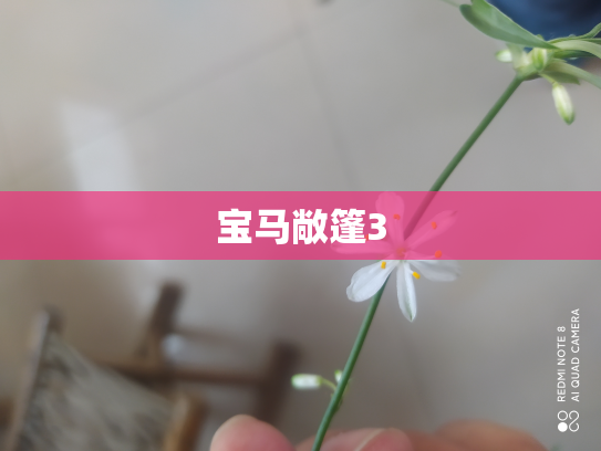 宝马敞篷3