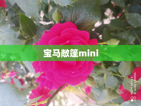 宝马敞篷mini
