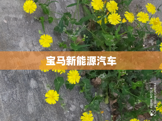 宝马新能源汽车