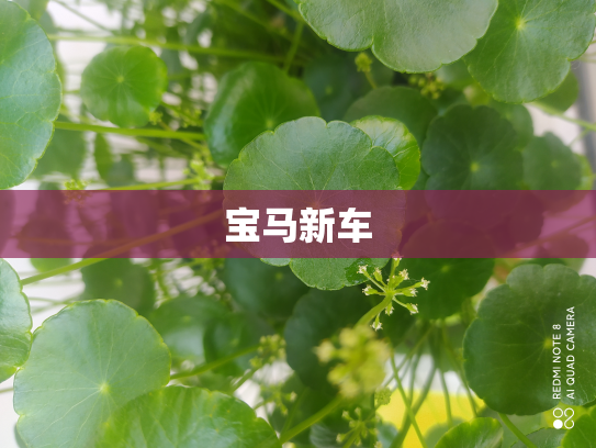 宝马新车