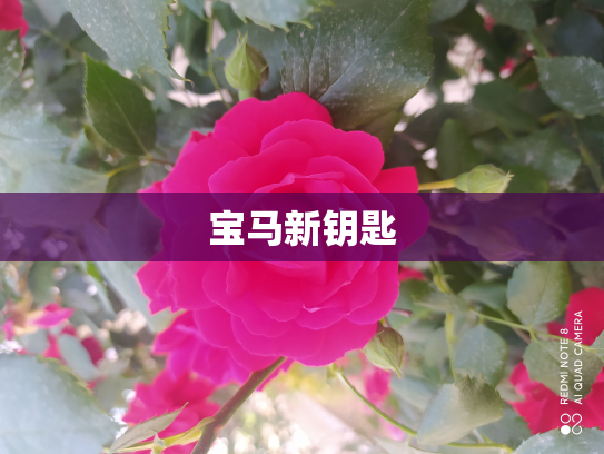 宝马新钥匙
