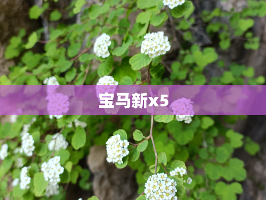 宝马新x5