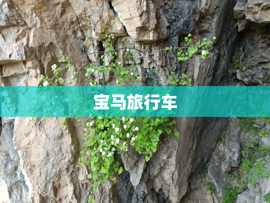宝马旅行车