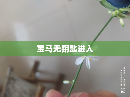 宝马无钥匙进入