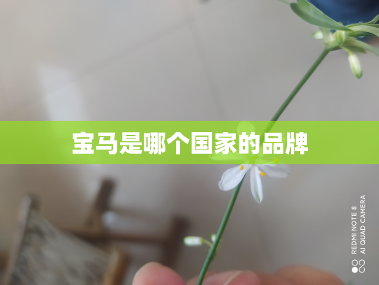 宝马是哪个国家的品牌