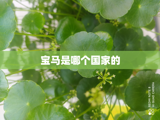 宝马是哪个国家的