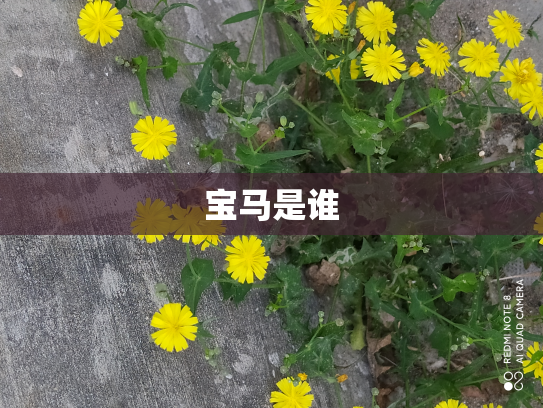 宝马是谁