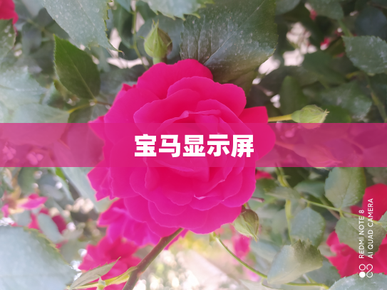 宝马显示屏