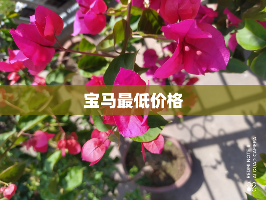 宝马最低价格