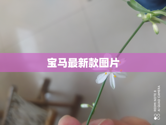宝马最新款图片