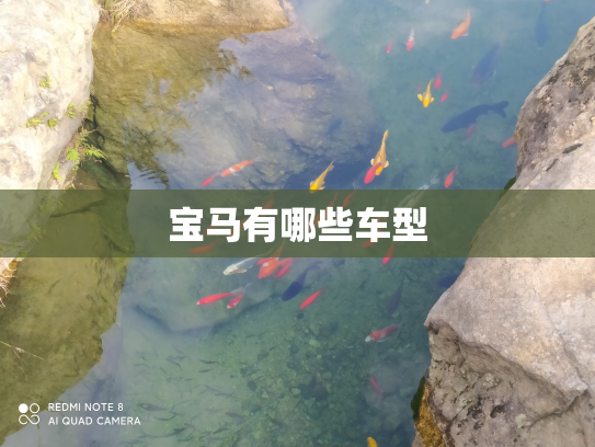 宝马有哪些车型
