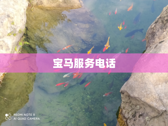 宝马服务电话