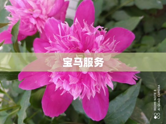 宝马服务