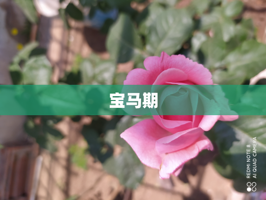 宝马期
