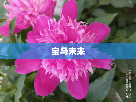 宝马未来