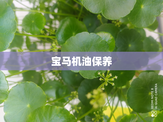 宝马机油保养