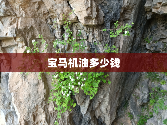 宝马机油多少钱