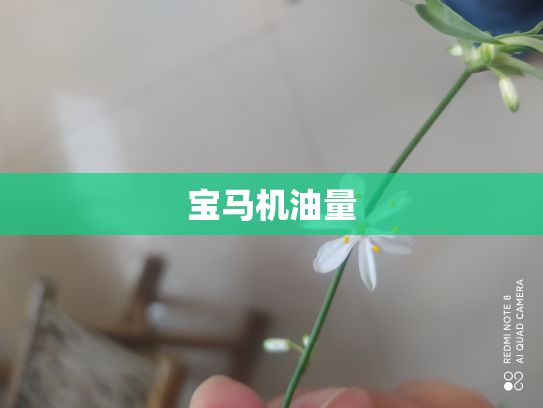 宝马机油量