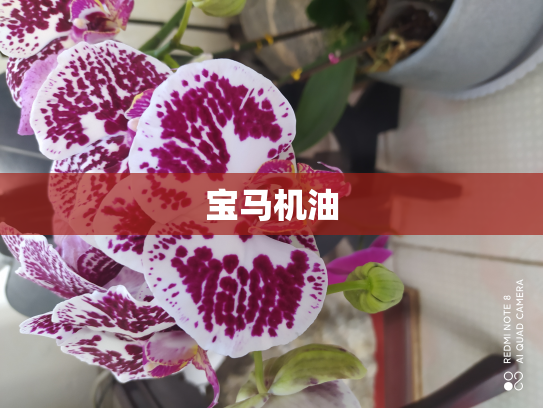 宝马机油
