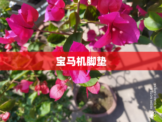 宝马机脚垫