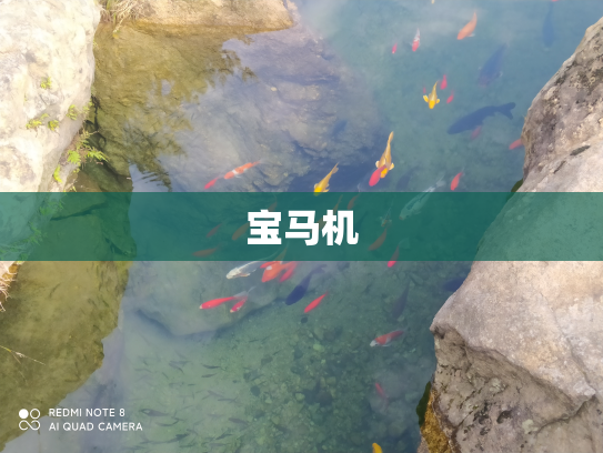 宝马机