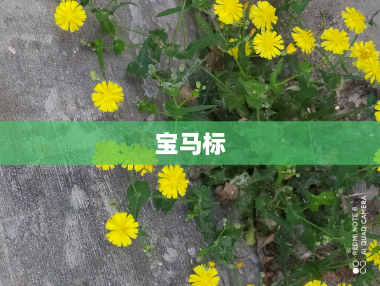 宝马标