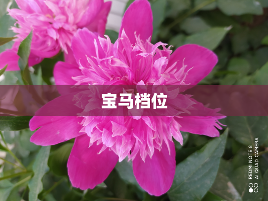 宝马档位