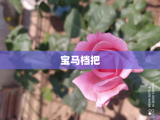 宝马档把