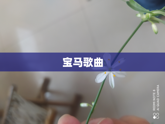 宝马歌曲