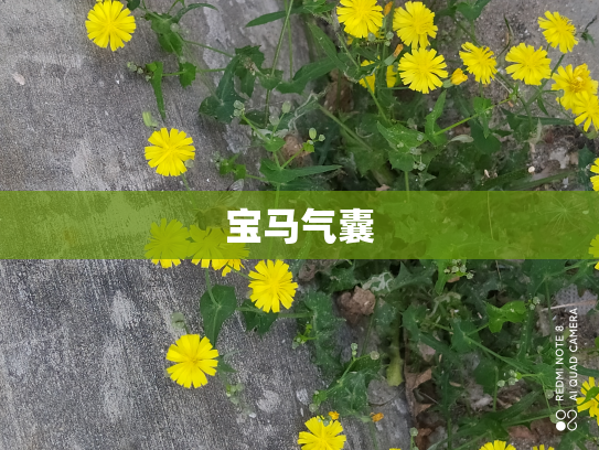 宝马气囊