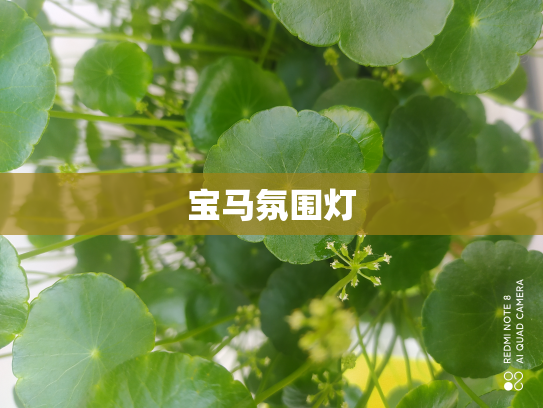 宝马氛围灯