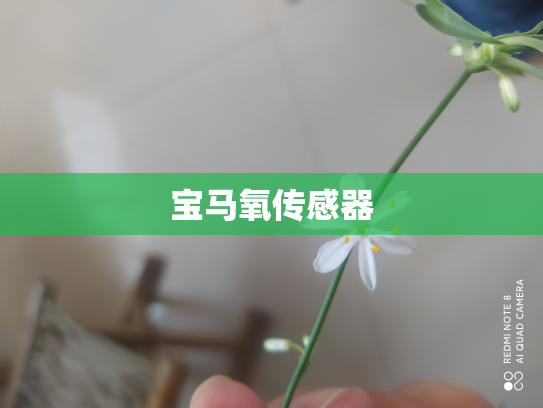 宝马氧传感器