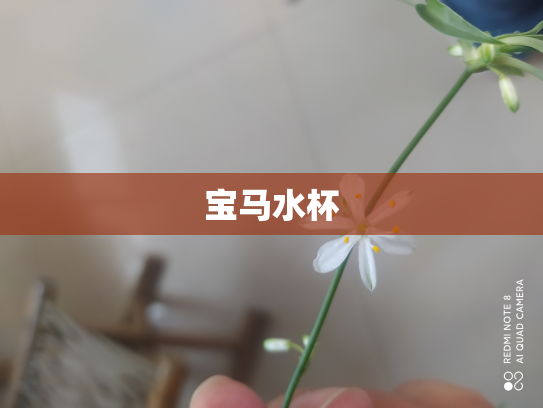宝马水杯