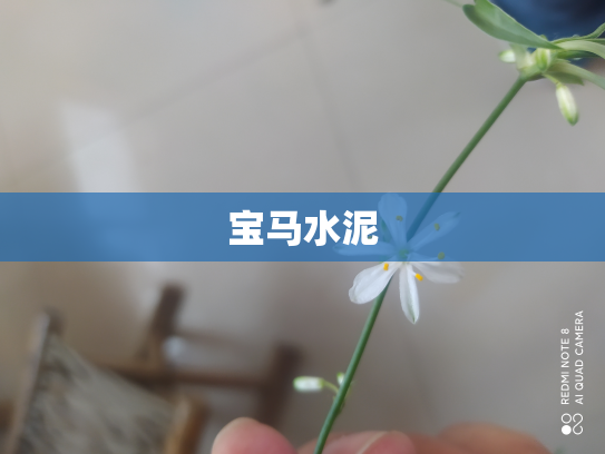 宝马水泥