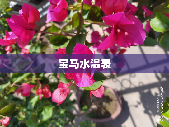 宝马水温表
