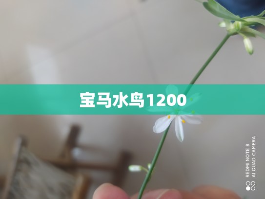 宝马水鸟1200