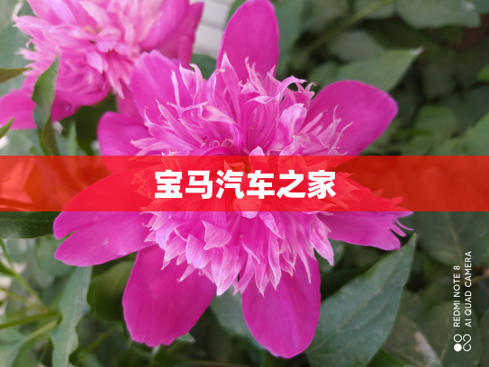 宝马汽车之家