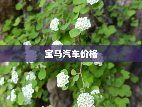 宝马汽车价格