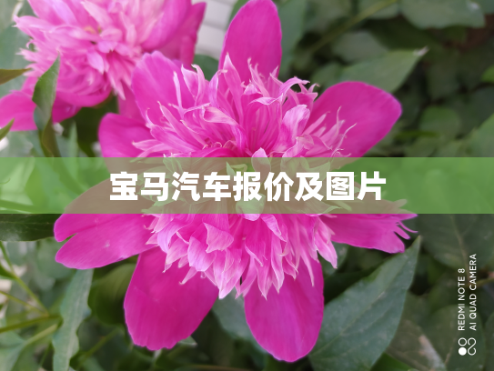 宝马汽车报价及图片