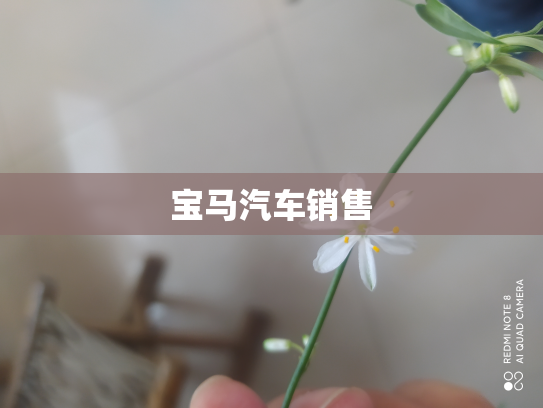 宝马汽车销售