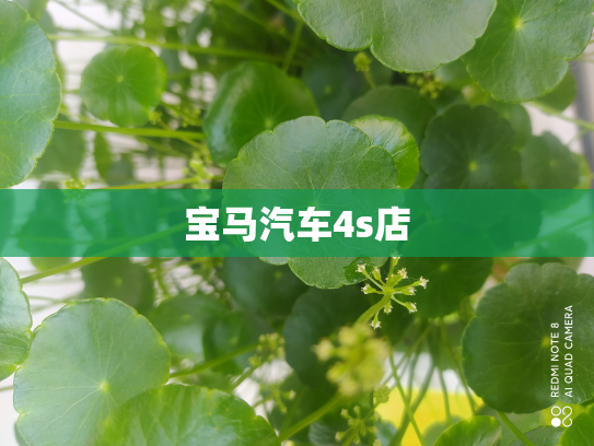 宝马汽车4s店