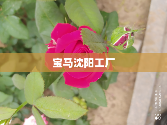 宝马沈阳工厂