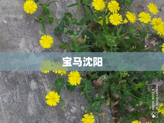 宝马沈阳