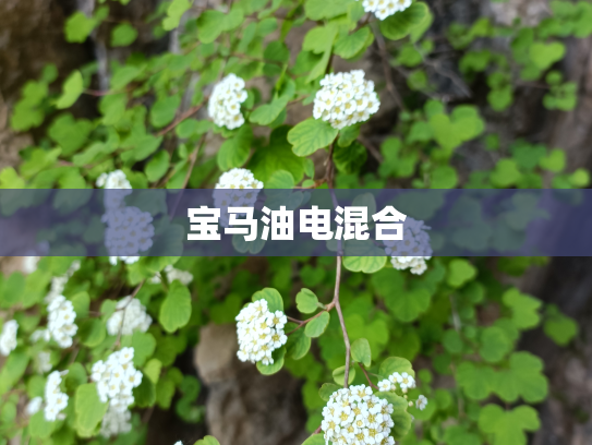 宝马油电混合