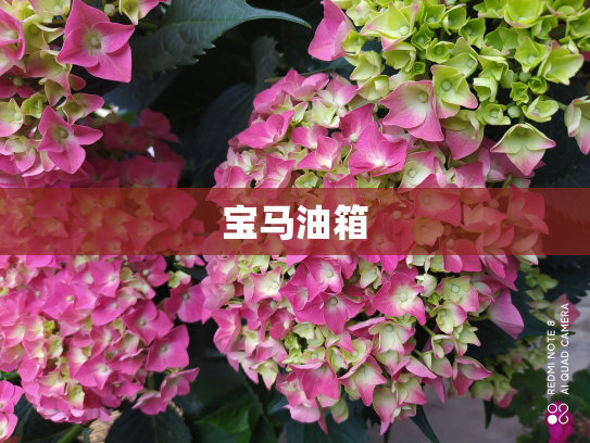 宝马油箱