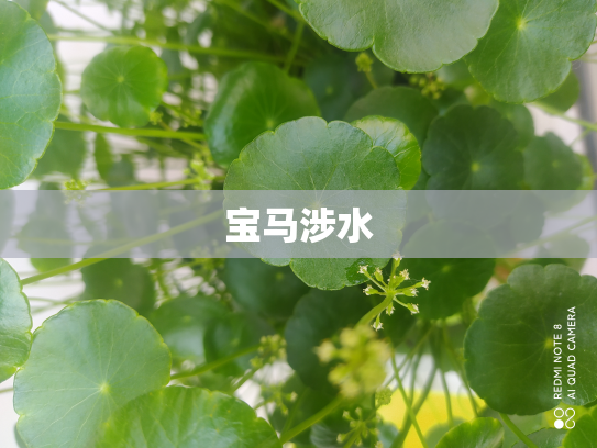 宝马涉水