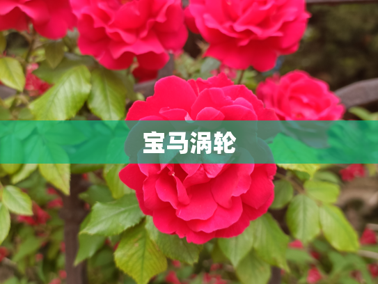 宝马涡轮