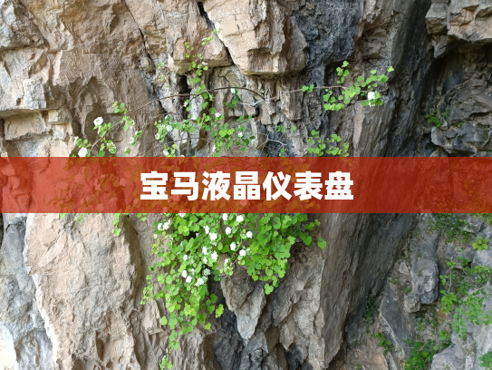 宝马液晶仪表盘